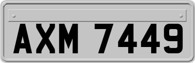 AXM7449