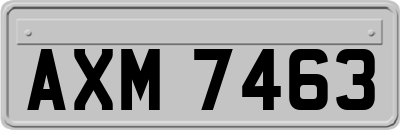 AXM7463
