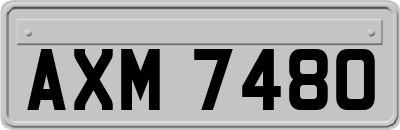 AXM7480