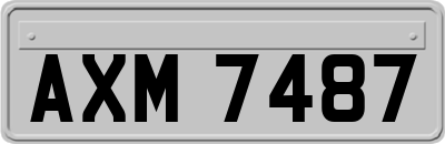 AXM7487