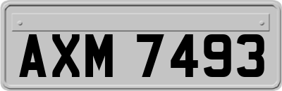AXM7493