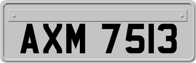 AXM7513