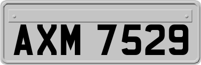 AXM7529