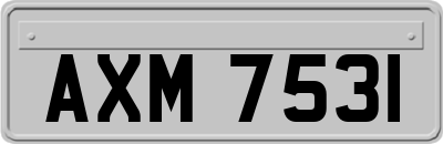 AXM7531