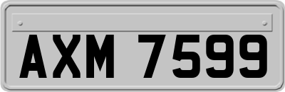 AXM7599