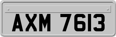 AXM7613