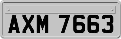 AXM7663