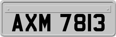 AXM7813