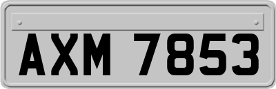 AXM7853