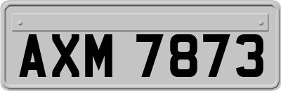 AXM7873