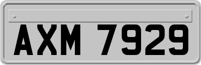 AXM7929