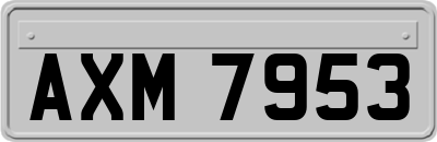 AXM7953
