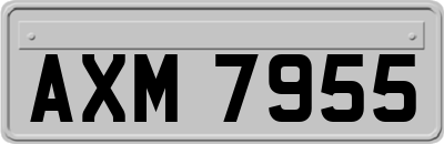 AXM7955