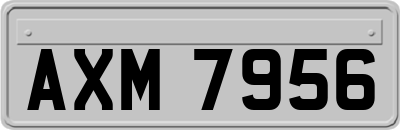 AXM7956