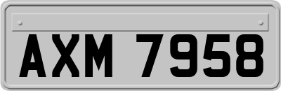 AXM7958