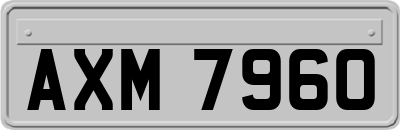 AXM7960