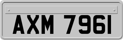 AXM7961