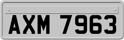 AXM7963