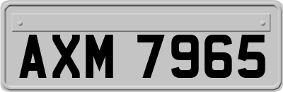 AXM7965
