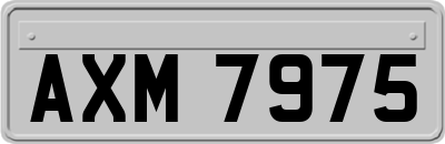 AXM7975