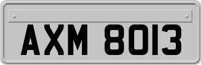 AXM8013
