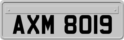 AXM8019