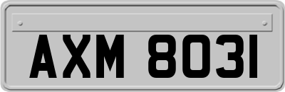 AXM8031