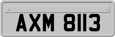 AXM8113