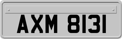 AXM8131
