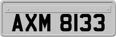 AXM8133