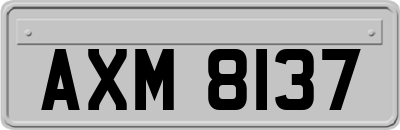 AXM8137