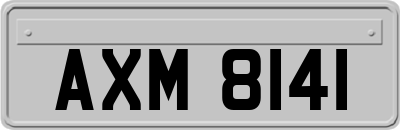 AXM8141
