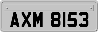 AXM8153