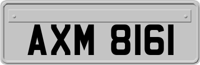 AXM8161