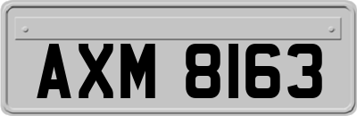 AXM8163