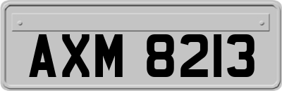 AXM8213