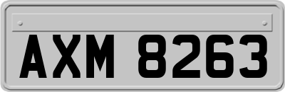 AXM8263