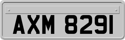 AXM8291