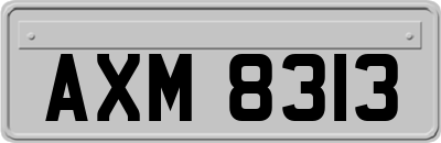 AXM8313