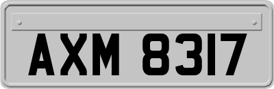 AXM8317