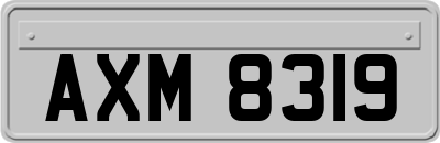 AXM8319