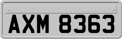 AXM8363