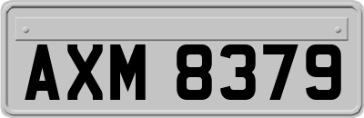 AXM8379