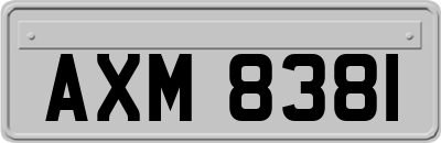 AXM8381