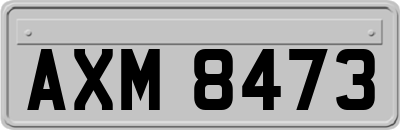 AXM8473