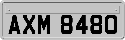 AXM8480