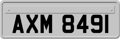 AXM8491