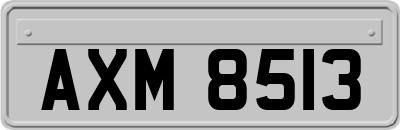 AXM8513