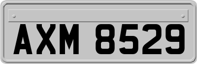 AXM8529