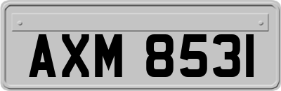 AXM8531